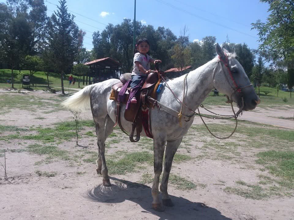 Primer paseo