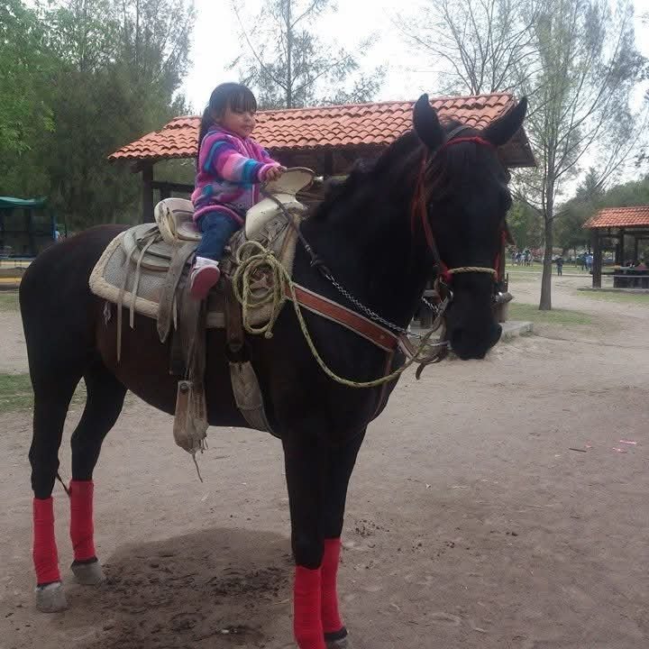 A caballo